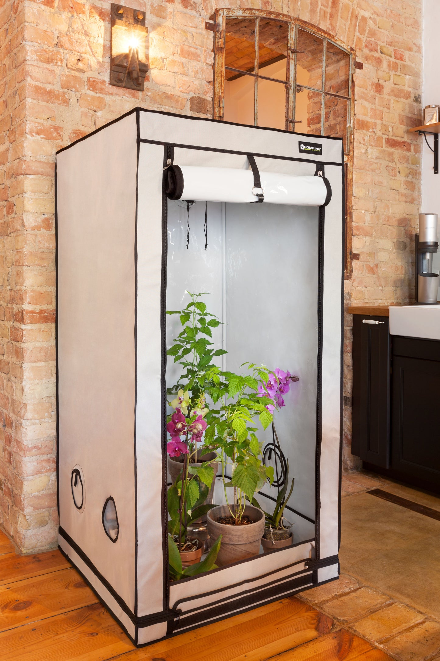 HOMEbox® Ambient Mini Gewächshaus