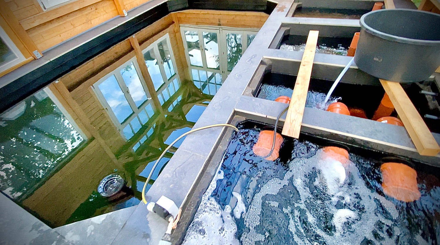 Aquarium, Teichbau & Fischzucht