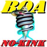 BOA NO-Kink Titanium Leader