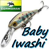 Team Cormoran Baby Iwashi