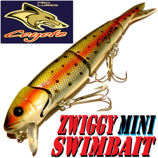 Coyote Pro Lures Zwiggy Mini Swimbait 18cm 40g Farbe Rainbow Trout 10AT Wobbler Hechtköder